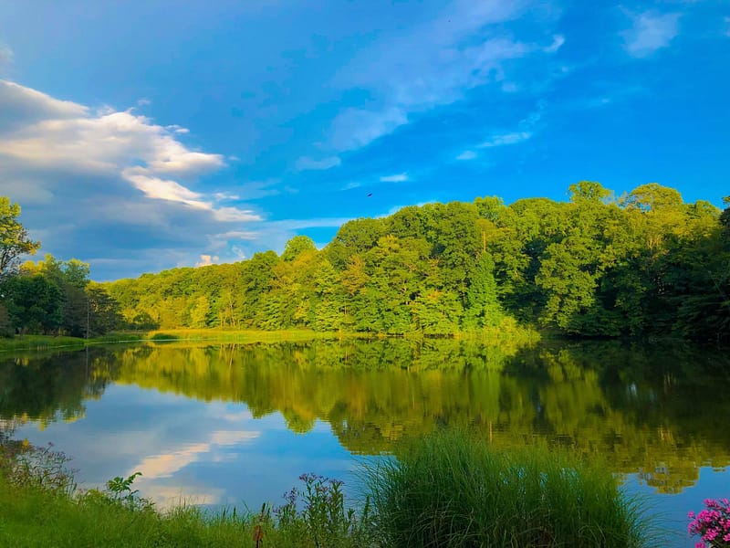 Recreation Sevakeen Country Club